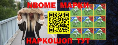 шишки Будённовск