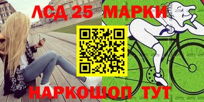 шишки Будённовск