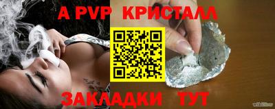 шишки Будённовск
