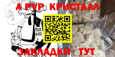 шишки Будённовск